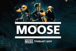 Muse Tribute Moose