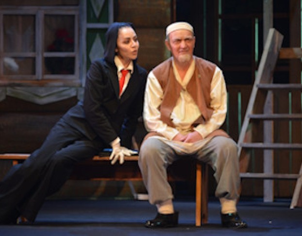 Старик из Деревни Альдермеш