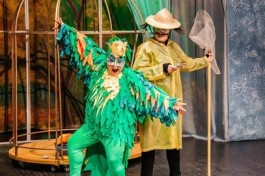 Попугайчик Пай