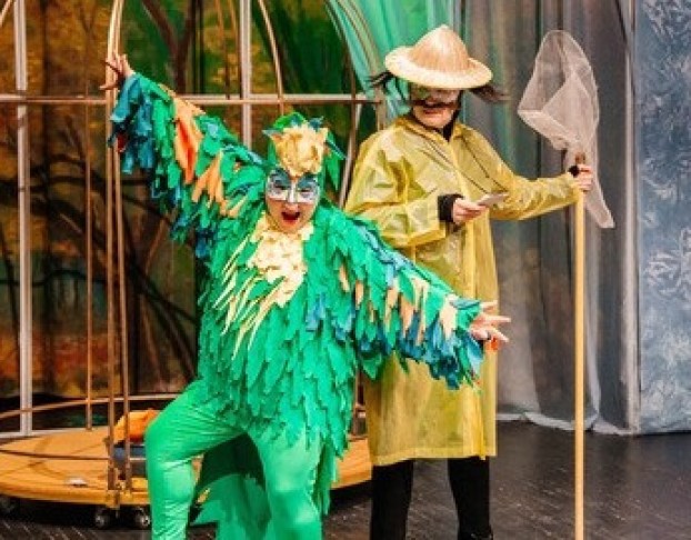 Попугайчик Пай