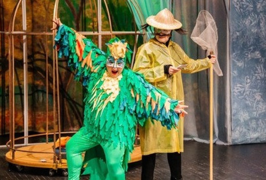 Попугайчик Пай