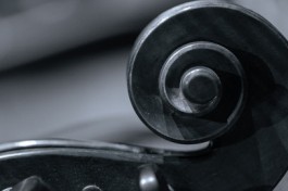 Созвездие Молодых