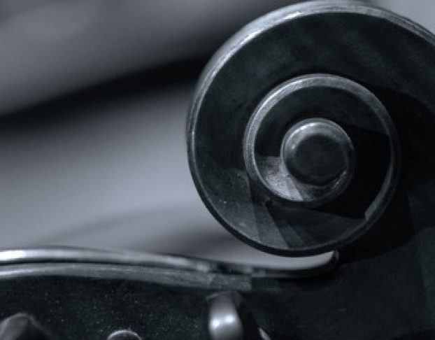 Созвездие Молодых