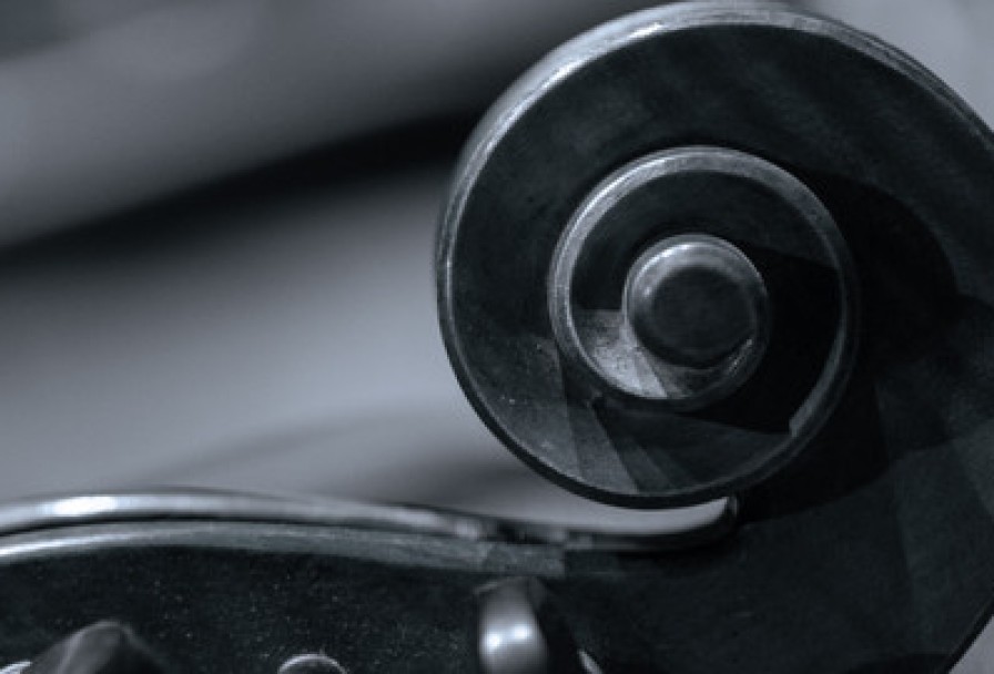 Созвездие Молодых