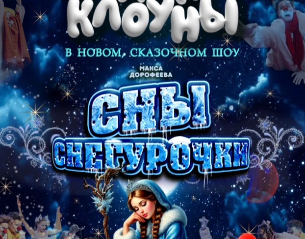 Шоу Сны Снегурочки