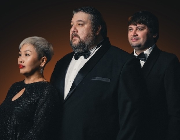 Новогодний Огонек