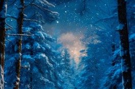 у Леса на Опушке…