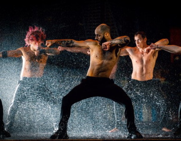 Сезон Дождей