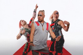 Группа Скворцы Степанова