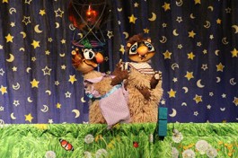 Крошка Енот