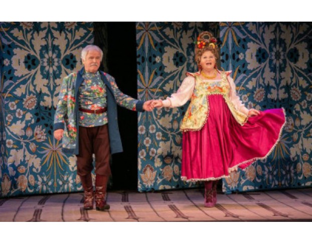 не в Свои Сани не Садись