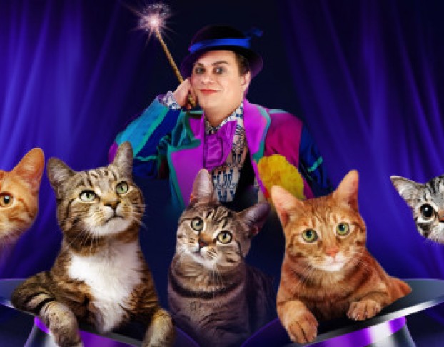 Волшебные Кошки
