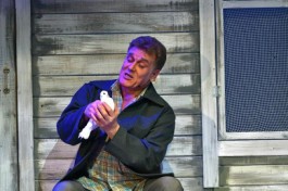 Любовь и Голуби