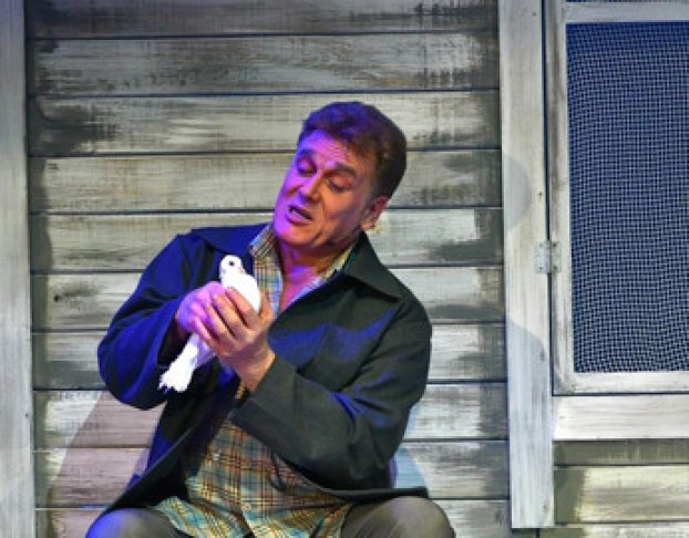 Любовь и Голуби