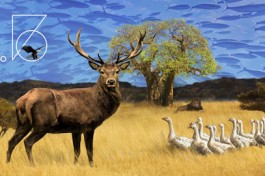 Чайка с Продолжением