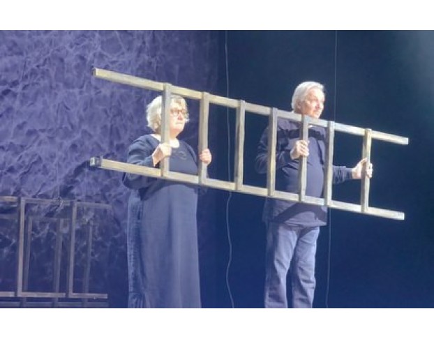 Земля Эльзы