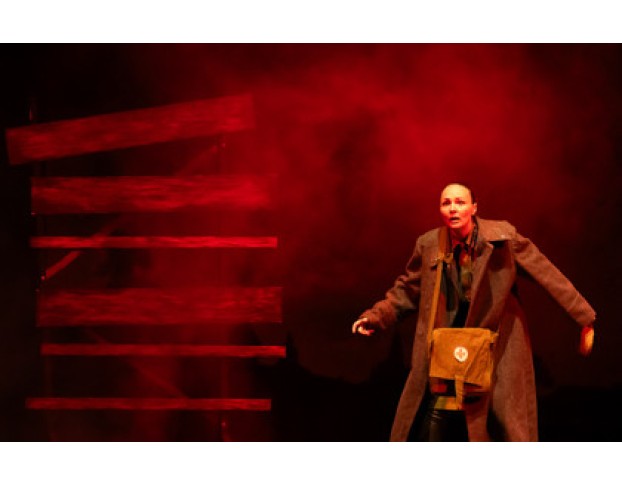 Бессмертники