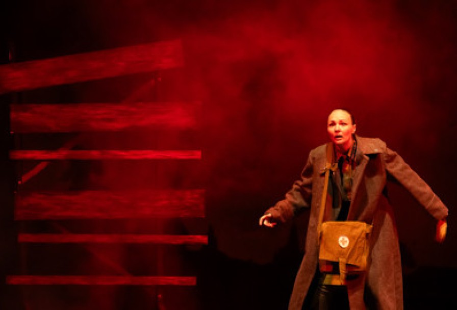 Бессмертники