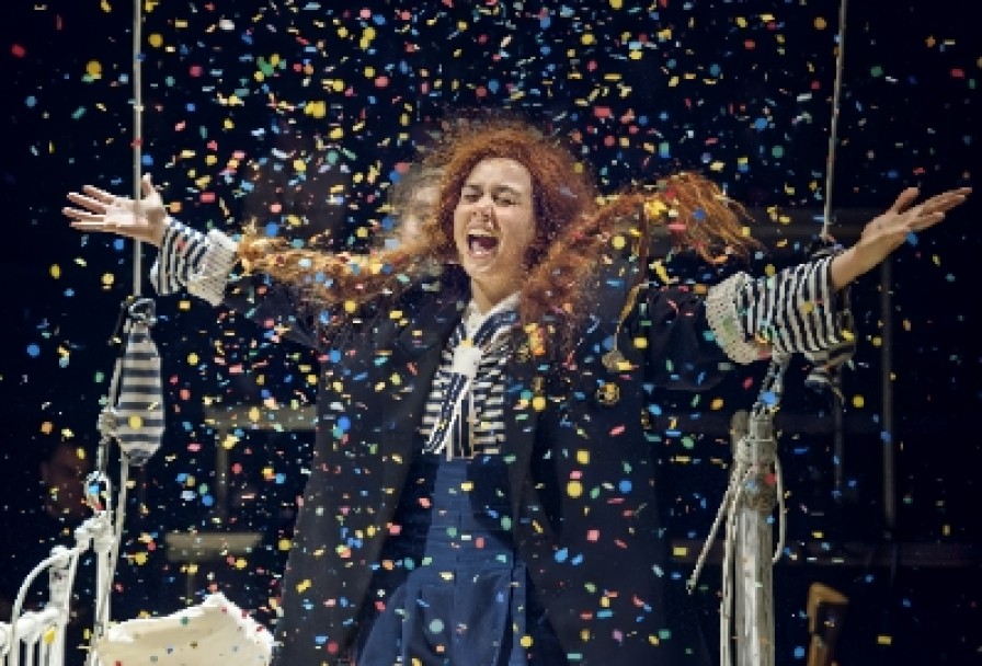 Пеппилотта Длинныйчулок