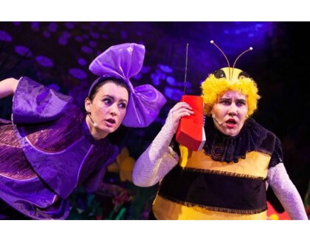 День Рождения Мухи