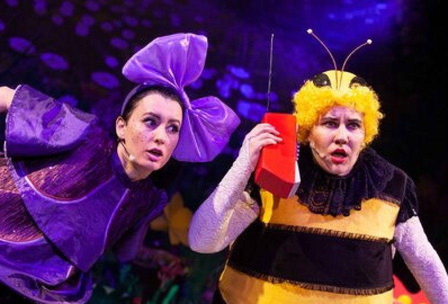 День Рождения Мухи