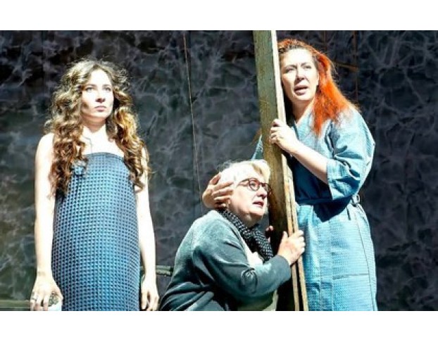 Земля Эльзы