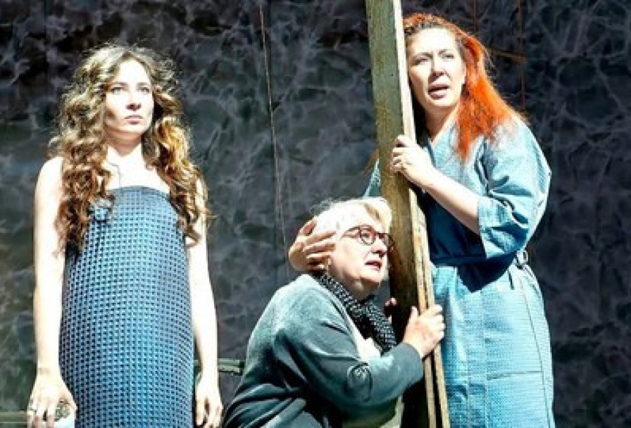 Земля Эльзы