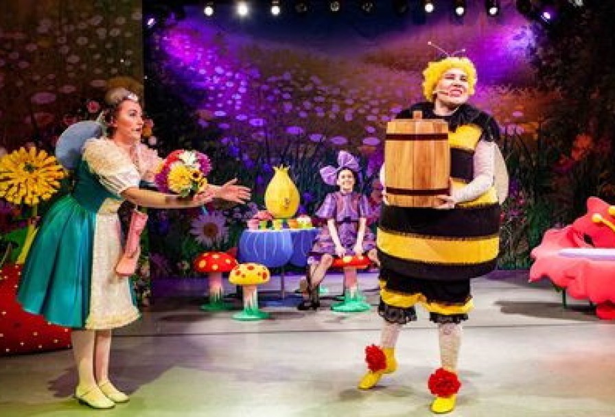 День Рождения Мухи