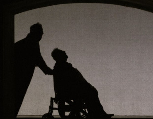 Ревизор. Версия