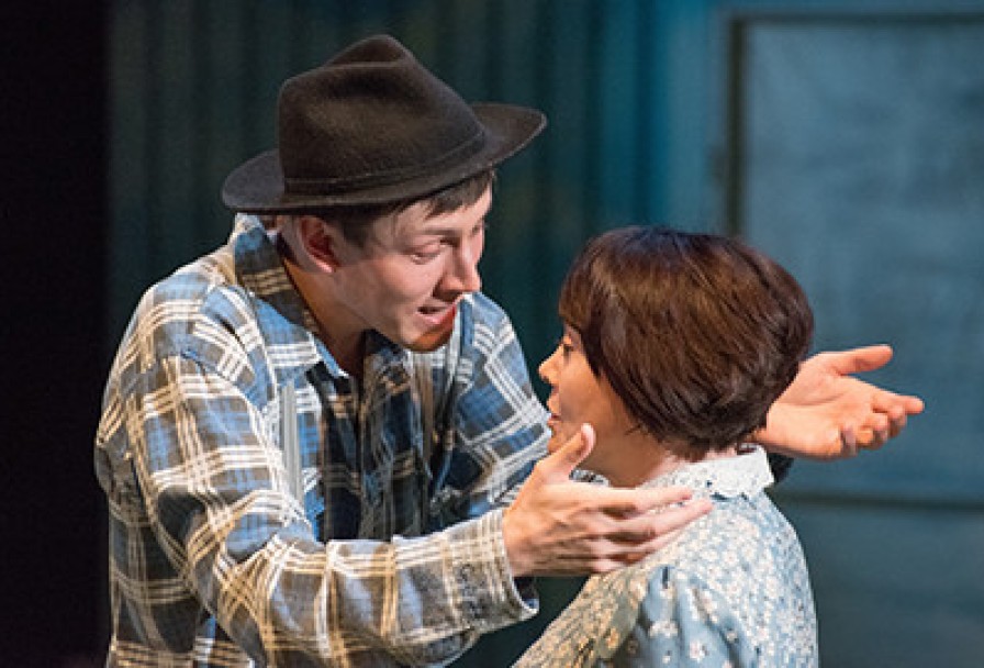 Пришлыйкилмешәк