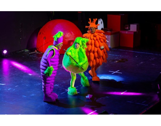 Чудеса Нового Года