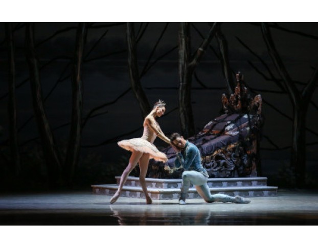 Спящая Красавица