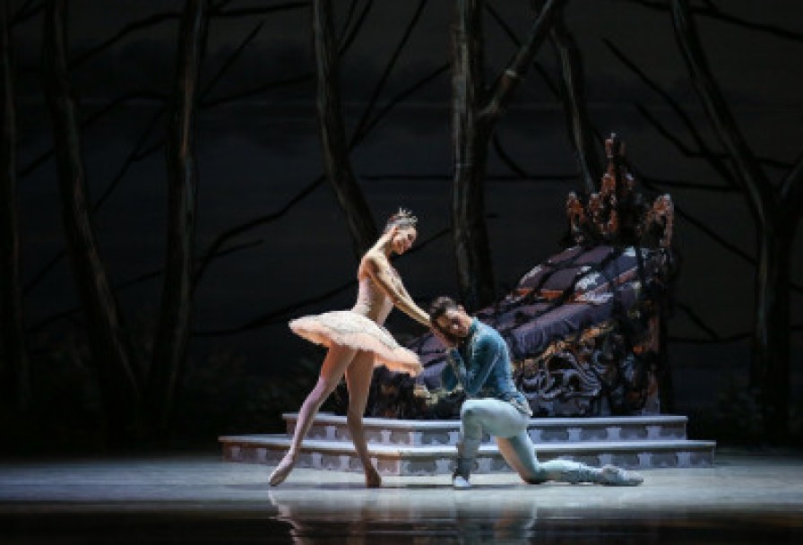 Спящая Красавица