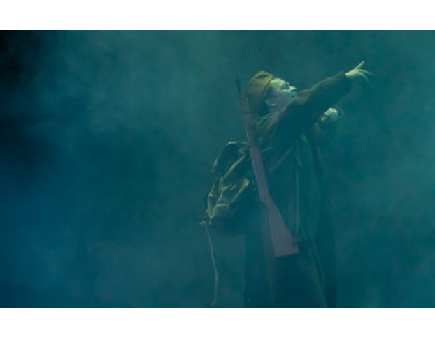 Бессмертники