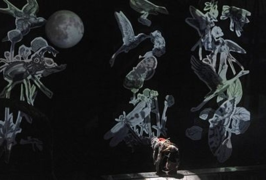 Журавль и Цапля