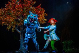 Красная Шапочка