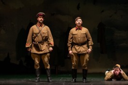 Бессмертники