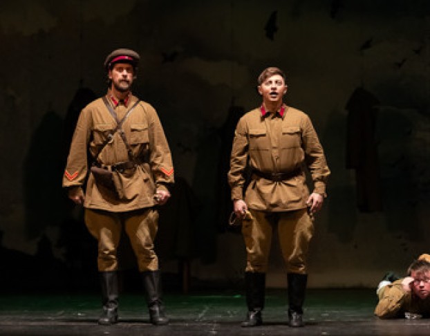 Бессмертники