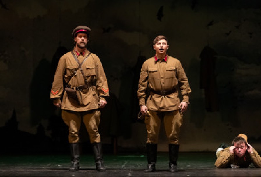 Бессмертники