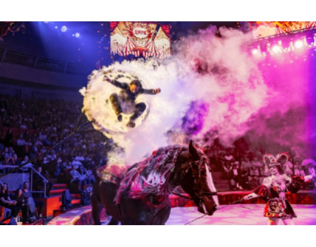 Королевский Цирк