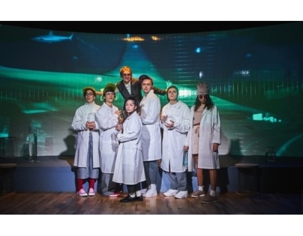 Доклад о Медузах