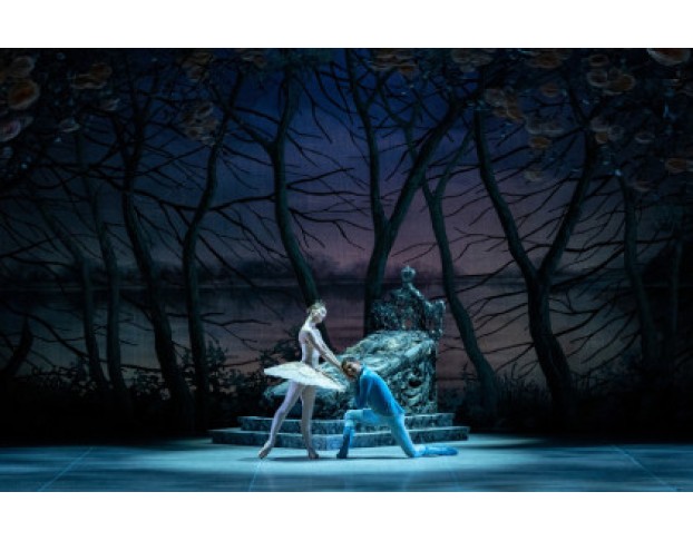 Спящая Красавица