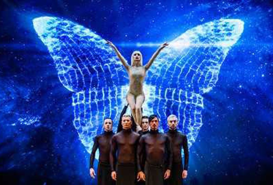 Мы Аллы Духовой и Балета Todes