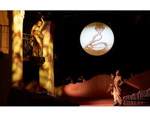 Маленький Принц. Полёт в Одном Действии