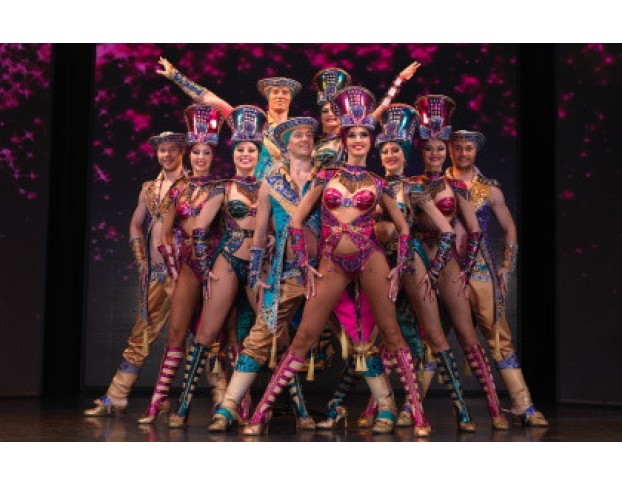 Новогодняя Феерия от Тройки