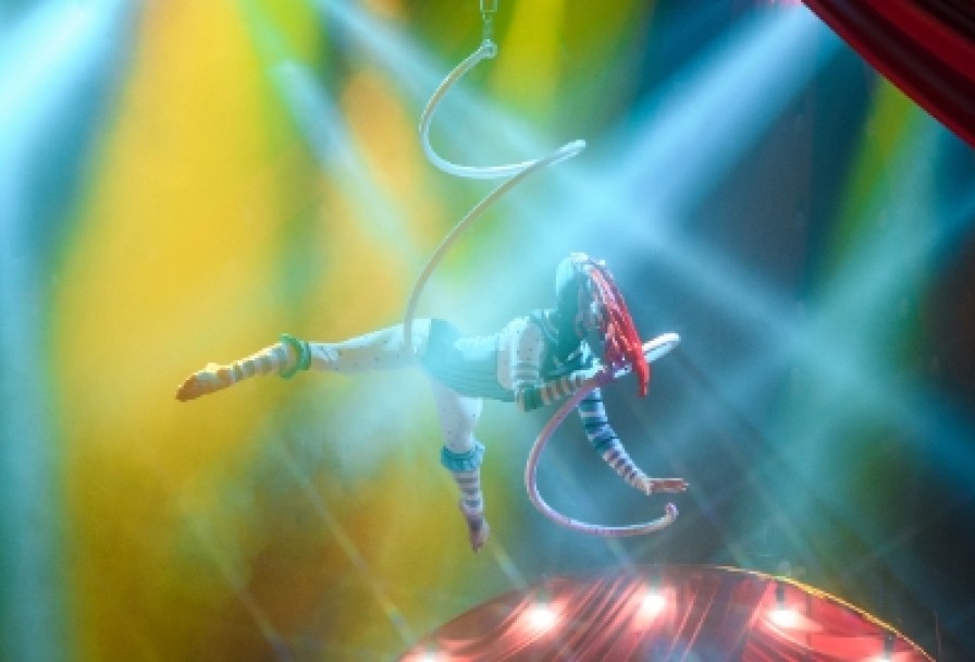 Принцесса Цирка