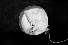 Пуф, или Ложь и Истина