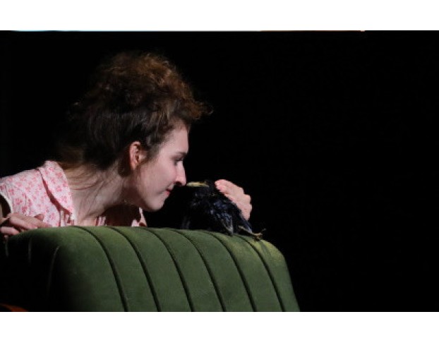 Дрозд Фрау Майер