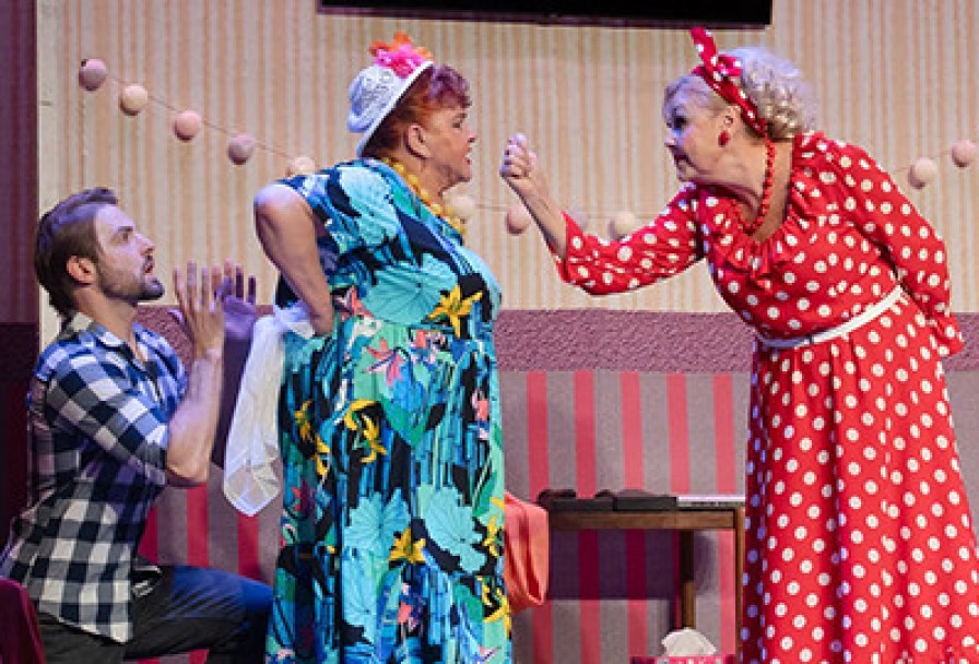 Тёща с Сюрпризом