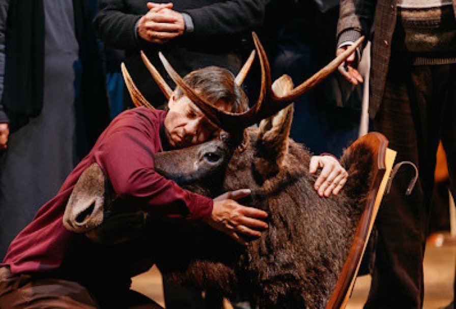 Утиная Охота